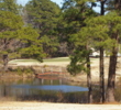 Cypress Lakes Golf Course - 11th