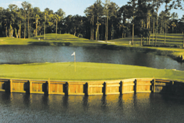 TPC Sawgrass #17